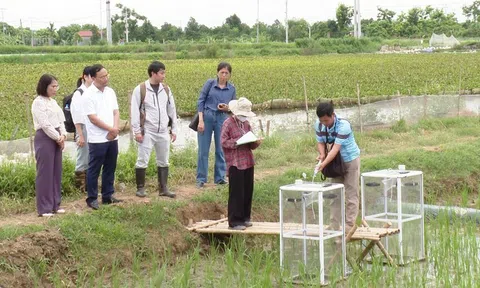Chuyển đổi xanh trong nông nghiệp: Bài toán cần giải từ nông hộ nhỏ lẻ