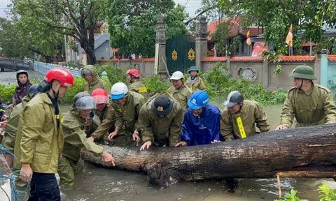 Bão số 10 gây thiệt hại nặng, Thủ tướng ra chỉ đạo khẩn