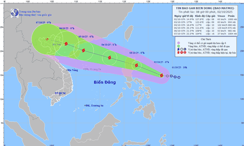 Áp thấp nhiệt đới mạnh lên thành bão, sức gió giật cấp 10