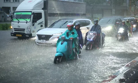 Hà Nội "kích hoạt" phương án phòng, chống bão số 11