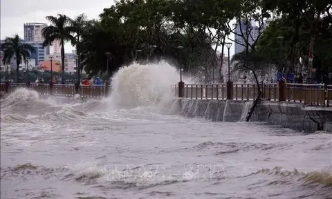 Bão số 11 giật cấp 16, đổ bộ vùng biển Quảng Ninh - Hải Phòng từ đêm nay