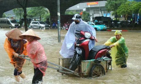 Hà Nội ngập lụt, nghề "cửu vạn thời vụ" hốt bạc triệu mỗi ngày