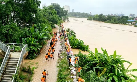 Khẩn trương triển khai gia cố, đảm bảo an toàn đê điều, hồ đập