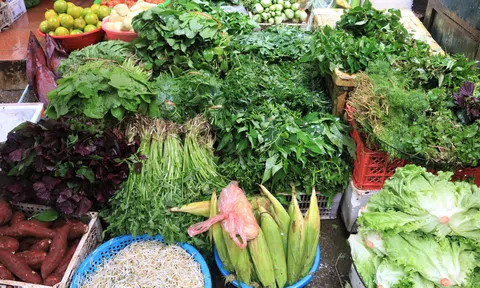 Cảnh giác rau củ "tăng trưởng cấp tốc” sau mưa lũ