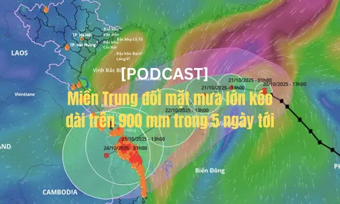 [Podcast] Miền Trung đối mặt mưa lớn kéo dài trên 900 mm trong 5 ngày tới