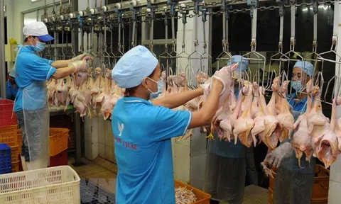 Hà Nội quyết "xóa sổ" giết mổ nhỏ lẻ, tự phát trước năm 2030