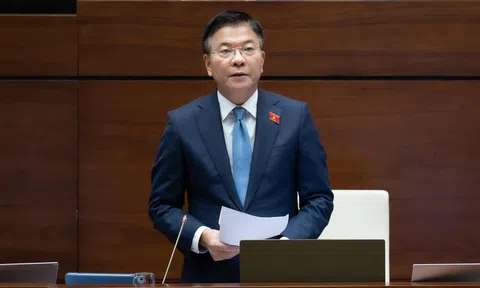 Phó Thủ tướng Chính phủ lý giải nguyên nhân thị trường vàng, nhà đất tăng cao