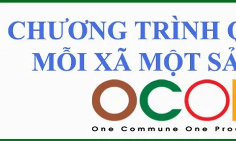 Chương trình mỗi xã một sản phẩm: Phú Thọ công nhận thêm 27 sản phẩm OCOP