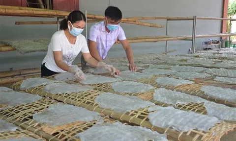 Sắc thái riêng miến dong Hương Ngọc