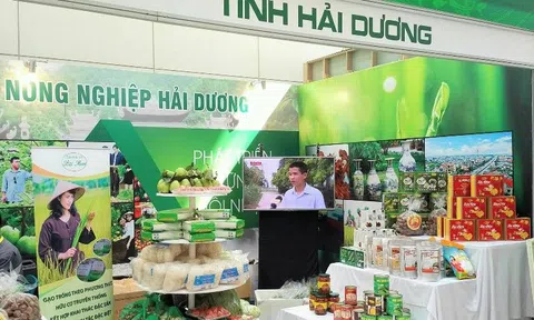 Hải Dương đưa sản phẩm OCOP lên sàn thương mại điện tử
