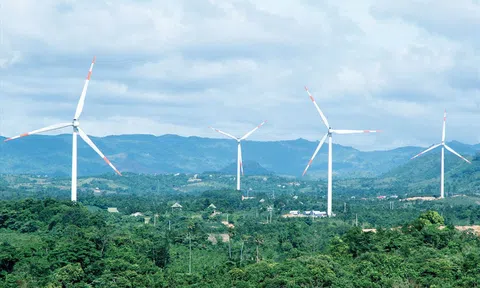 Giải tỏa công suất hàng chục nhà máy điện gió ở Quảng Trị