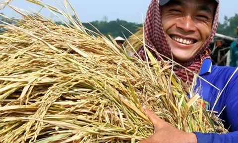 Năm 2025, Hà Nội nâng thu nhập nông dân đạt 80 triệu đồng/người/năm