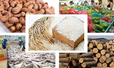 SPS Việt Nam: Doanh nghiệp nông, thủy sản cần nắm vững quy định của thị trường, tránh ảnh hưởng uy tín chung