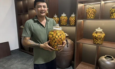 Hương rượu hồng dưới chân núi Đại Huệ – câu chuyện khởi nghiệp của hai trai Nghệ