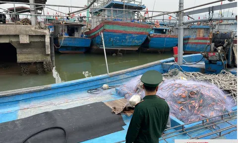 Nghệ An cấp tốc triển khai thực hiện các nhiệm vụ chống khai thác IUU theo chỉ đạo của Thủ tướng Chính phủ