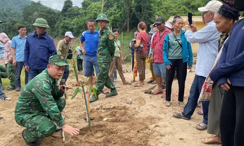 Mô hình “Lũy tre giữ đất biên cương” chống sạt lở, tạo sinh kế cho bà con vùng biên xứ Nghệ