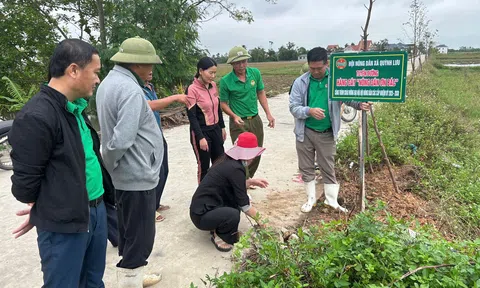 Nông dân Quỳnh Lưu triển khai công trình tuyến đường Hàng cây “Nông dân ơn Bác”
