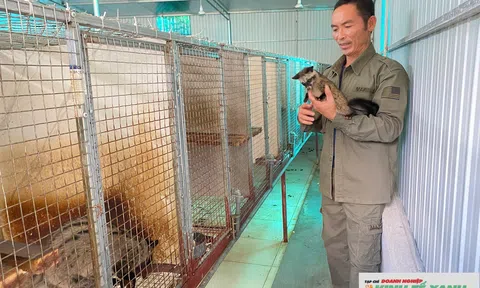 Anh nông dân khởi nghiệp thành công nhờ “thuần hoá” đặc sản dân dã