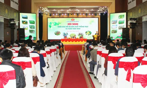 Nghệ An triển khai đề án sản xuất trồng trọt vụ Xuân năm 2026