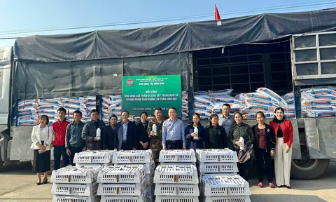 Nông dân Nghệ An được hỗ trợ gà, tiếp cận ứng dụng vi sinh vật trong chăn nuôi theo hướng an toàn sinh học
