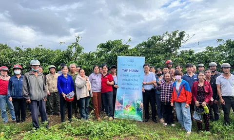 Đắk Lắk: Doanh nghiệp đồng hành cùng nông dân phát triển nông nghiệp xanh