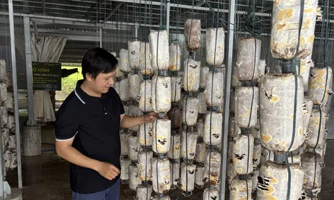 Sống xanh – sống lành! (Bài 3)