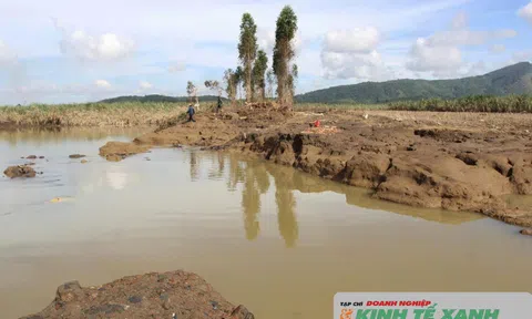 Nhà nông khổ nhọc sau lũ dữ