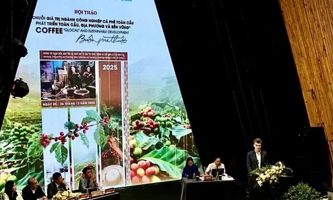 Cà phê Việt Nam – di sản kết nối toàn cầu