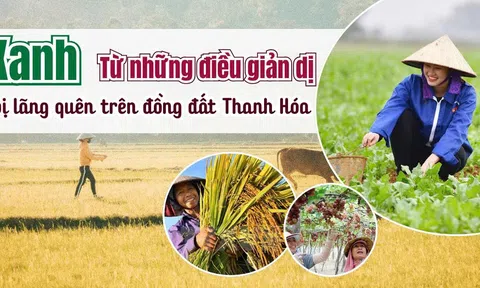 Xanh từ những điều giản dị bị lãng quên trên đồng đất Thanh Hóa - Bài 2: Biết cách dùng để không có gì bỏ đi