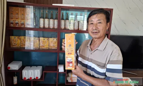 Để có giọt mật thơm, người nuôi ong không chỉ đọc sách, mà cần “đọc” cả thiên nhiên