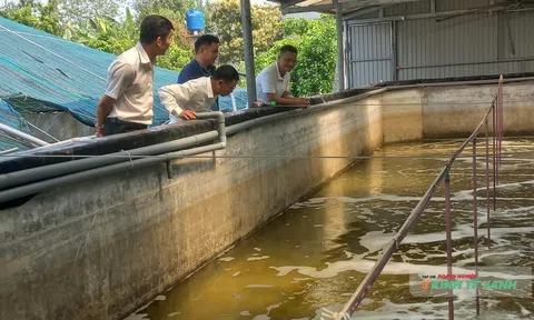 Thanh Hóa xanh hóa ngành thủy sản: Hướng đi từ những vùng nuôi hữu cơ