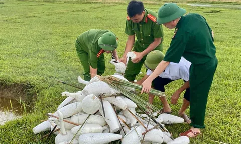 Thanh Hóa: Xử lý nghiêm các hành vi săn bắt, buôn bán, tiêu thụ động vật hoang dã