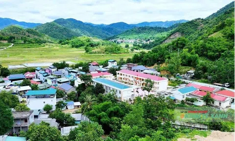 Tiếng núi gọi mùa xanh