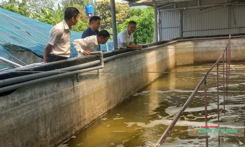 Thanh Hóa triển khai kế hoạch quan trắc, cảnh báo môi trường nuôi trồng thủy sản