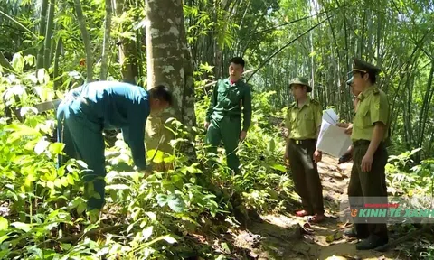 Hơn 172 tấn gạo tiếp sức đồng bào giữ rừng nơi biên cương