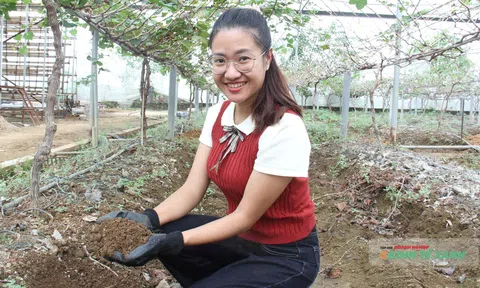Từ cô cử nhân luật đến “nông dân công nghệ” bên bờ sông Mã