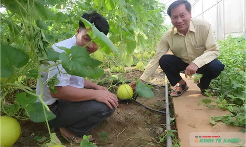 Từ một người mê phim Hàn đến ông chủ trang trại nông nghiệp sạch