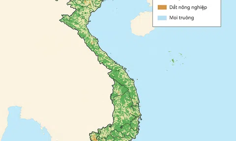 Hướng đi nào để xây dựng cơ sở dữ liệu đất đai gắn với dữ liệu ngành Nông nghiệp và Môi trường đạt hiệu quả