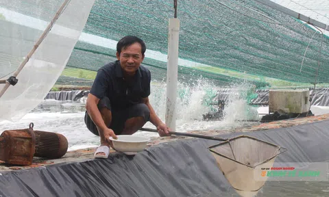 Ứng dụng công nghệ cao trong nuôi tôm – bước đột phá của nông dân