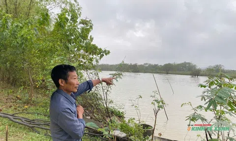 Người dân Ninh Bình chung tay bảo vệ chim hoang dã di cư