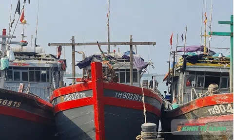 Hướng tới nghề cá có trách nhiệm và bền vững