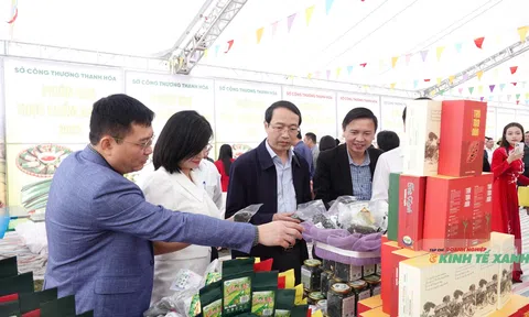 Để nông sản xứ Thanh thoát khỏi “cái bóng” của hội chợ