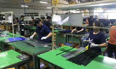 Ninh Bình đẩy tốc độ cải cách để kinh tế tư nhân trở thành “động lực tăng trưởng mới”