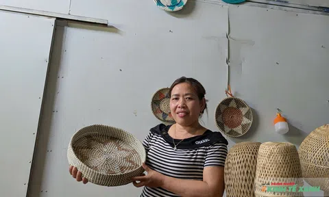 Phụ nữ Thanh Hóa tạo sức bật mới cho kinh tế tập thể