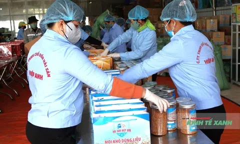 Từ làng biển, nông dân Tĩnh Gia vươn mình làm kinh tế