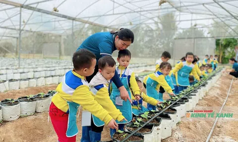 Thanh Hóa: Phát triển nông nghiệp bền vững với 1.478 chuỗi liên kết