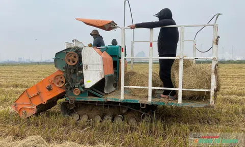 Máy cuộn rơm - Bài toán kinh tế và môi trường trên cánh đồng