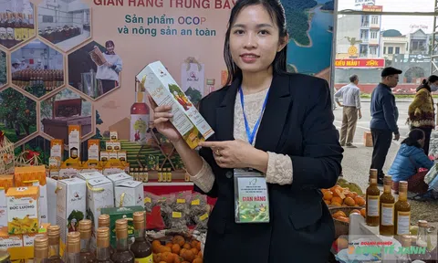 Nông sản an toàn, hương sắc vùng miền hội tụ