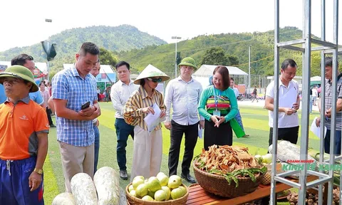 Nông sản xứ Thanh từng bước tham gia sâu vào chuỗi giá trị