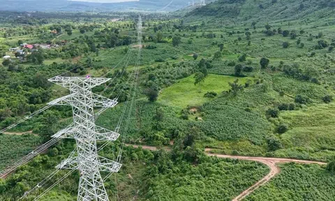 Tập đoàn T&T hoàn thành đường truyền tải điện xuyên biên giới, đưa điện từ Lào về Việt Nam
